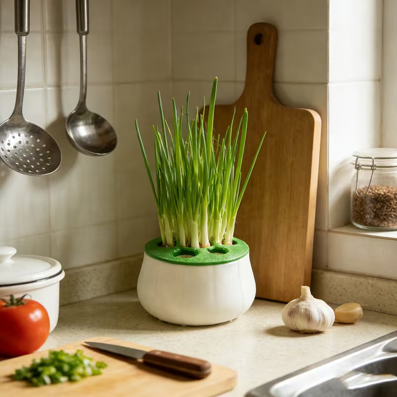 Plant Growth Regulator - Grüne Zwiebel Regenerations-Pflanzgefäß 3D-Gedruckte Hydroponische Pflanzenvermehrungsstation