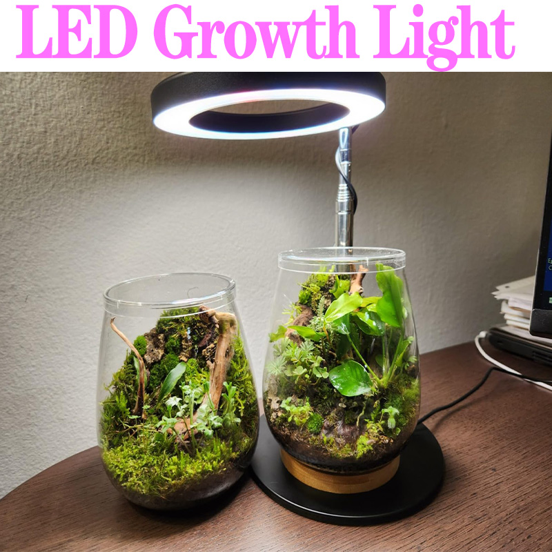 Plant Growth Regulator - Voll spektrum Pflanzen lampe USB wachsen