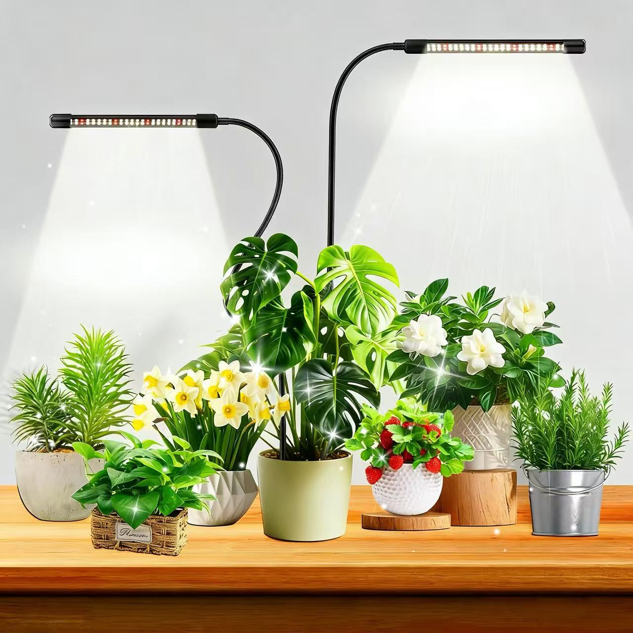 Plant Growth Regulator - 48-LED-Pflanzenlampe für Zimmerpflanzen, 6000K Vollspektrum, Bodenstecker-Pflanzenlampe