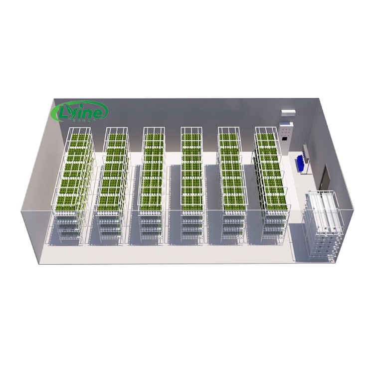 Agriculture Vertical Farming - Landwirtschaftliche Gewächshäuser Salat Nft Hydrokultursystem Vertikale