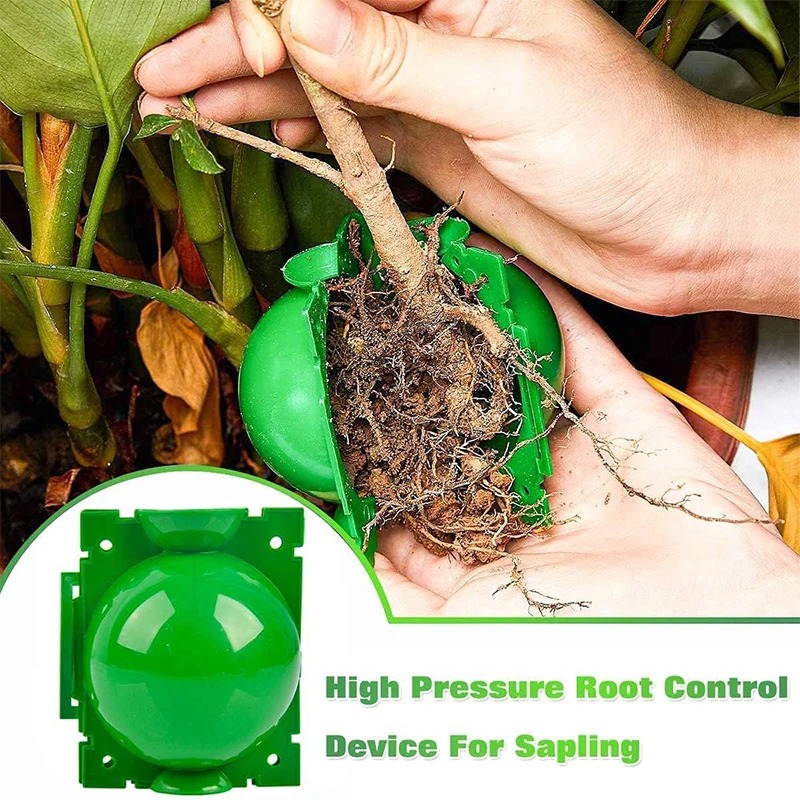 5/30 Stück Pflanzen-Wurzelball – Plant Growth Regulator Bewertung und Preis