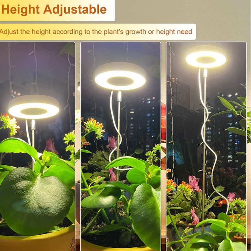LED-Wachstumslicht, Vollspektr – Plant Growth Regulator Bewertung und Preis