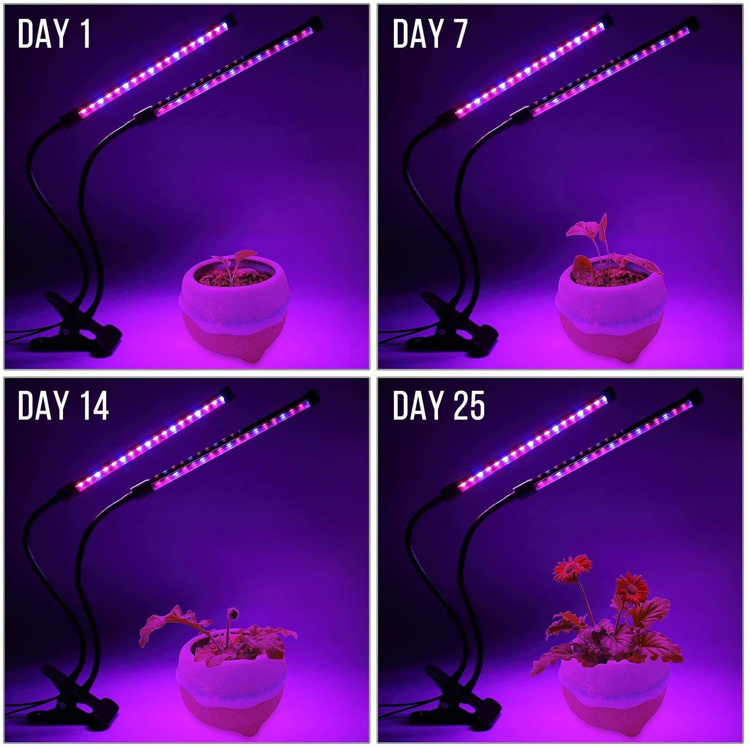 USB-LED-Pflanzenwachstumslicht – Plant Growth Regulator Bewertung und Preis