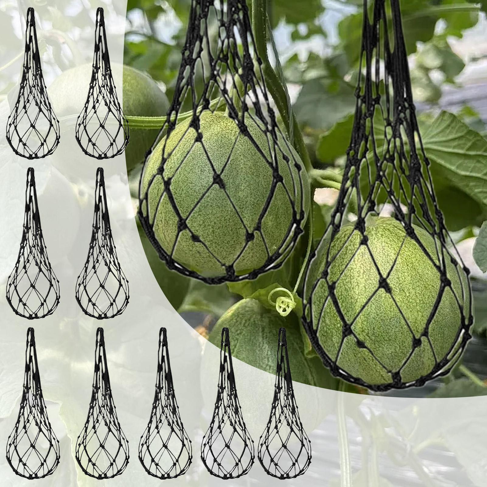10 Stück Wassermelonen-Netze,  – Agriculture Vertical Farming Bewertung und Preis