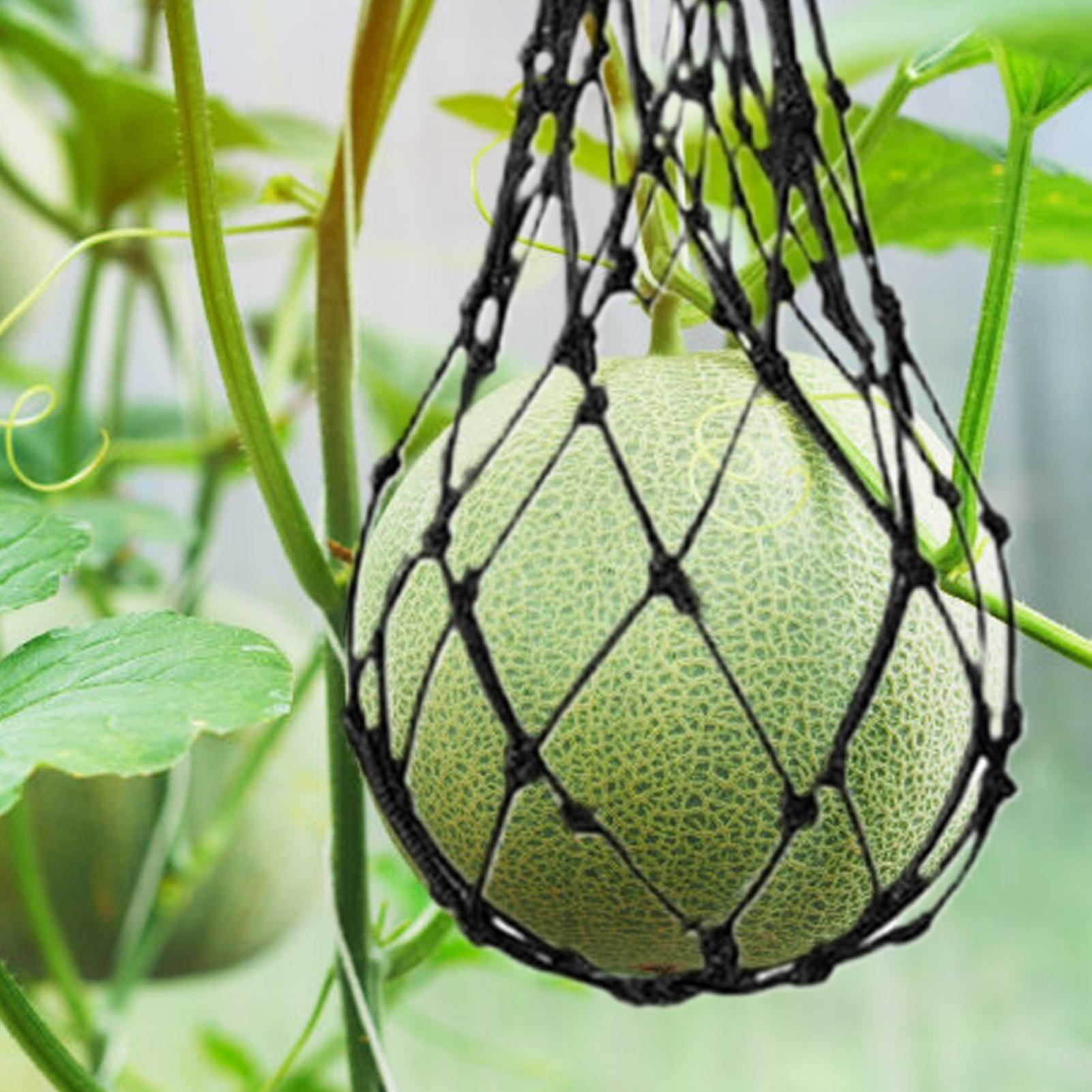 10 Stück Wassermelonen-Netze,  – Agriculture Vertical Farming Bewertung und Preis