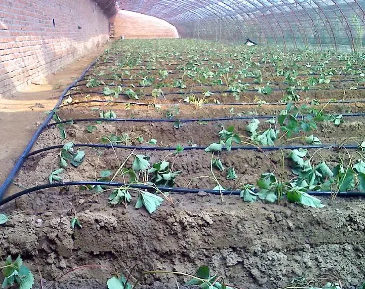 1HA Bewässerungsset Landwirtsc – Agriculture Farming Systems Bewertung und Preis
