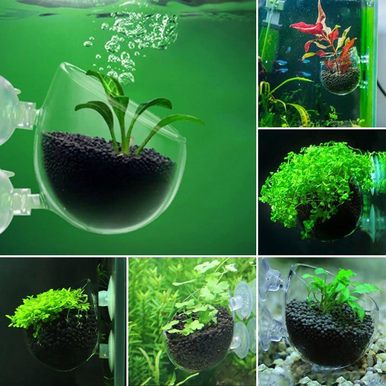 Aquatische Pflanzentöpfe aus A – Plant Growth Regulator Bewertung und Preis