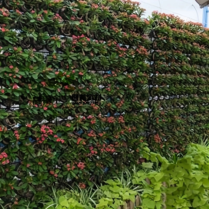 Pflanzbeutel mit mehreren Tasc – Agriculture Vertical Farming Bewertung und Preis
