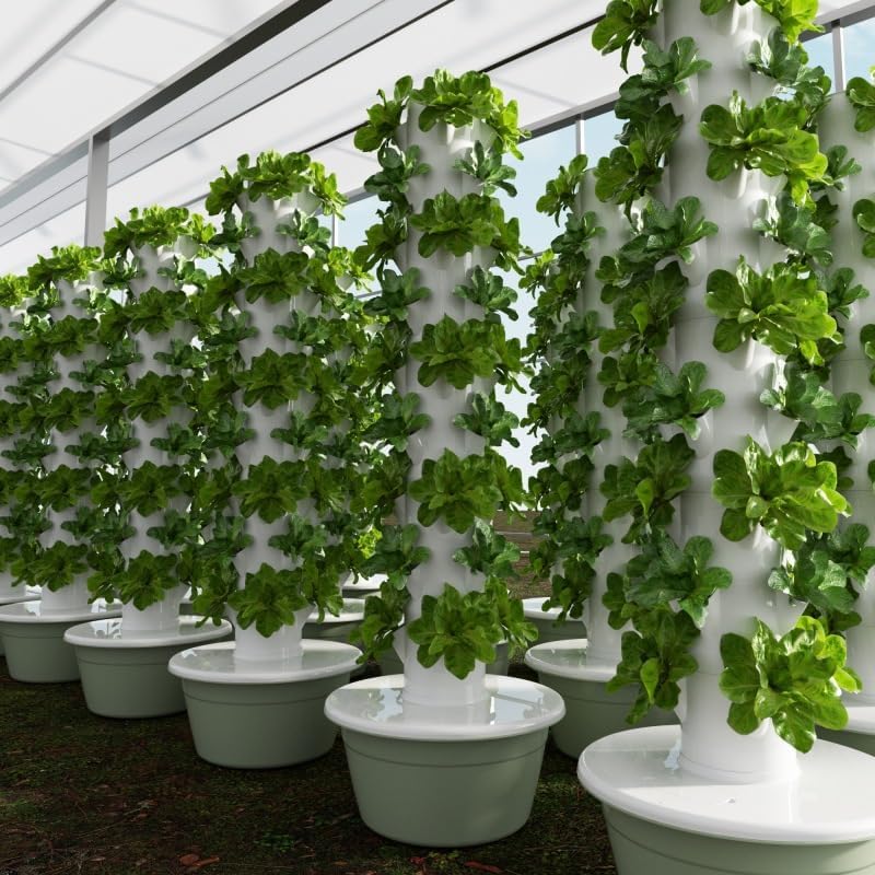 Vertikaler Hydroponischer Anba – Agriculture Vertical Farming Bewertung und Preis